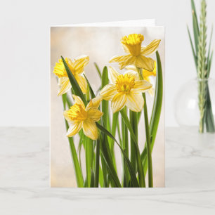Floral Photography: Yellow Spring Daffodils Card