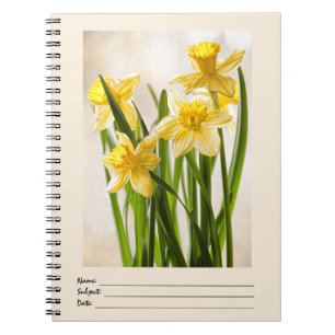Floral Photography:  Yellow Spring Daffodils Notebook