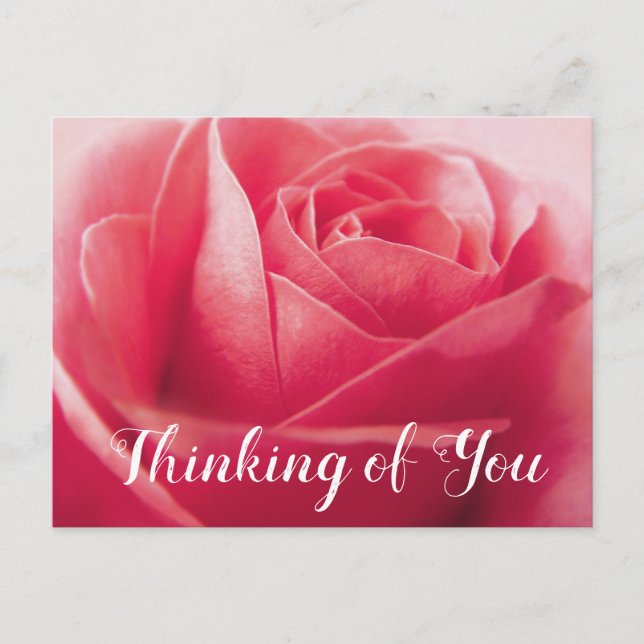 Floral Pink Rose Flower, Thinking of You, Hello Postcard (Front)