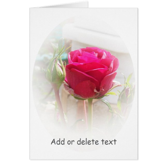 Floral Pink Rosebud Greeting Card (Front)
