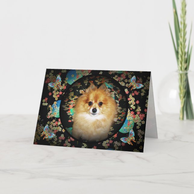 Floral Pomeranian Birthday Card (Front)