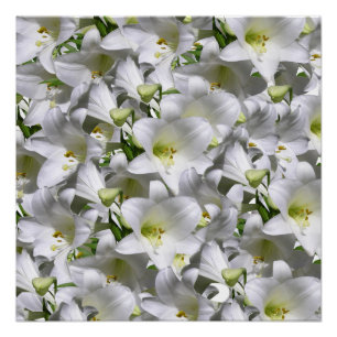 Floral Poster