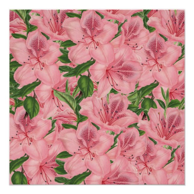 Floral Poster (Front)