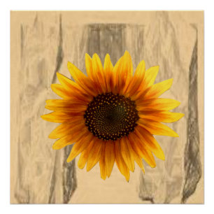 Floral Poster Sunflower