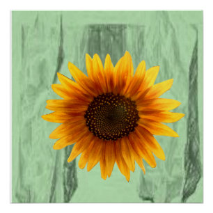 Floral Poster Sunflower