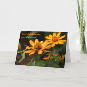 Floral, Pretty Orange Zinnias, Retirement Card