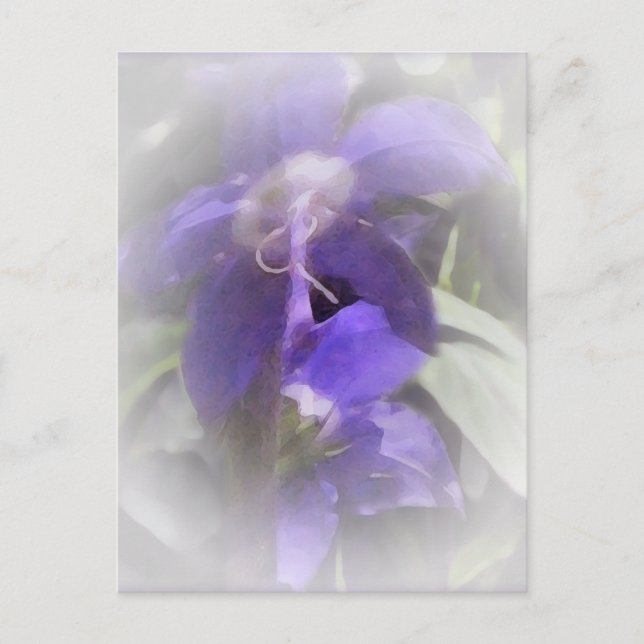 Floral Pretty Postcard (Front)