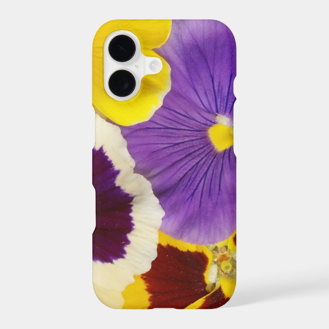 Floral Print Pansies (Back)