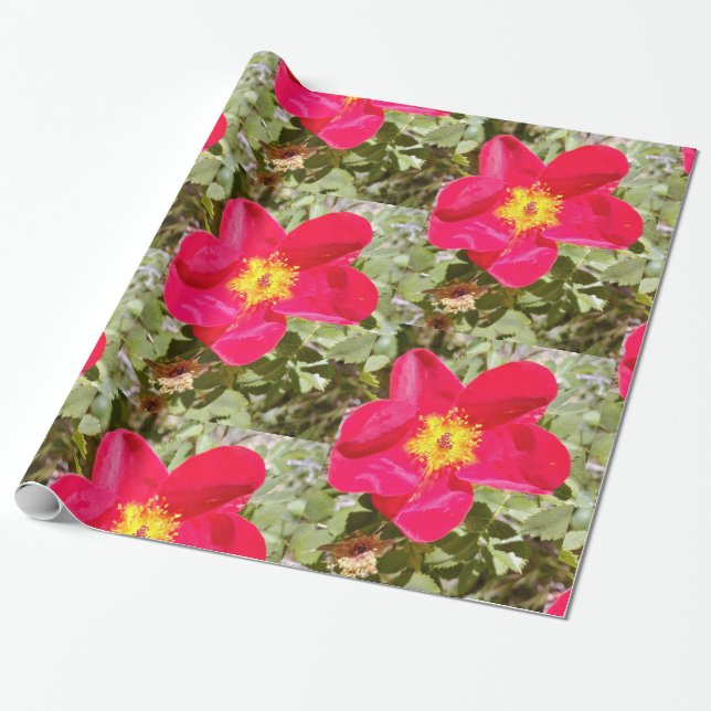 Floral Punch Wrapping Paper (Unrolled)