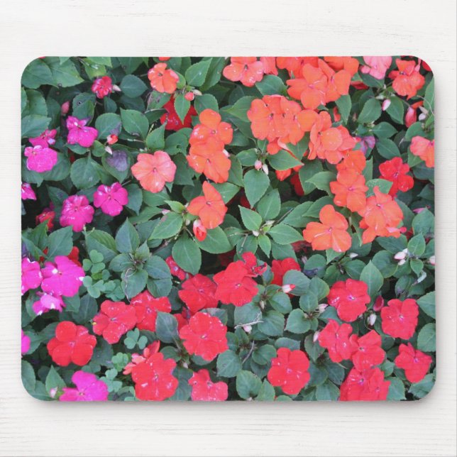 Floral Rainbow Mouse Pad (Front)