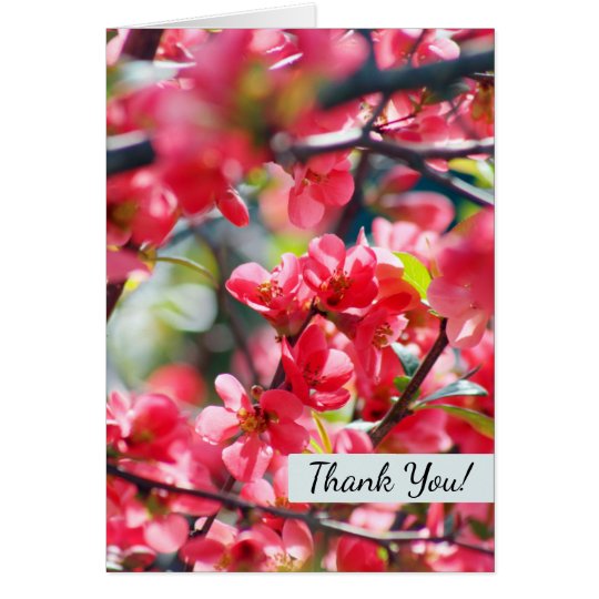 Floral Red Blooms Pretty Spring Thank You Flowers Card