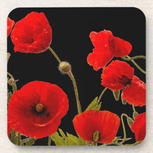 Floral Red Poppy Flowers Black Background Spring Coaster