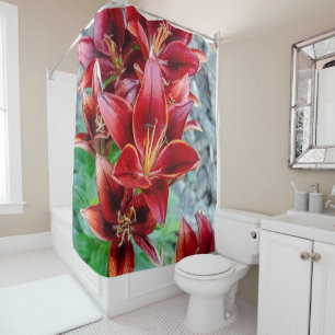 Floral Red Stargazer Lily Photography