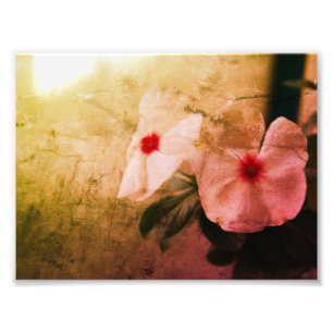 Floral Retro Image  Kodak Professional Photo Print
