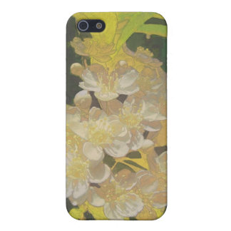 Floral Rhapsody In Gold and White iPhone 5 Cover