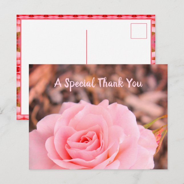 Floral Rose Image Postcard (Front/Back)