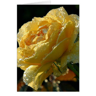 Floral rose jaune 6