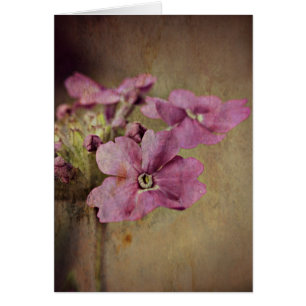 Floral rose sensible de verveine