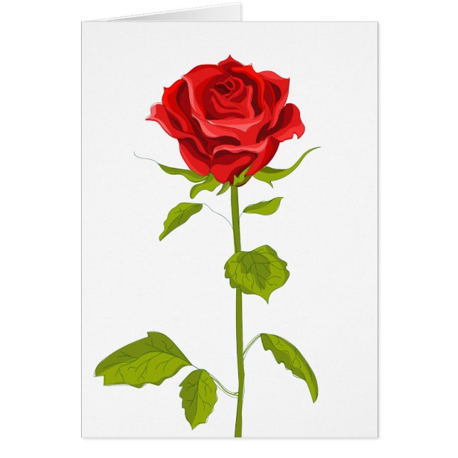 Floral Rouge Rose Fleur Rose Mariage Amour Bonjour (Devant)