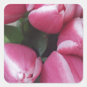 Floral Spring Bouquet of Pink Tulips, Flowers Square Sticker