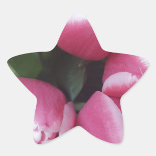 Floral Spring Bouquet of Pink Tulips, Flowers Star Sticker