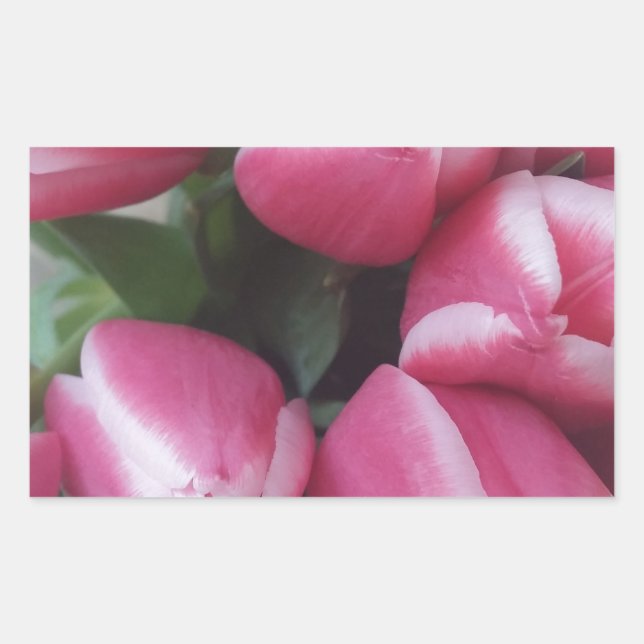 Floral Spring Bouquet of Pink Tulips, Flowers Sticker (Front)