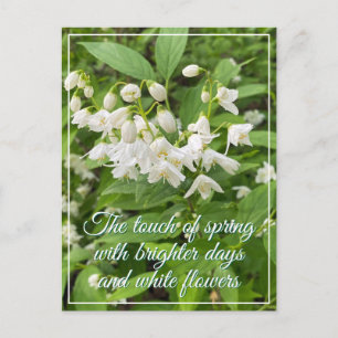 Floral spring holiday  postcard