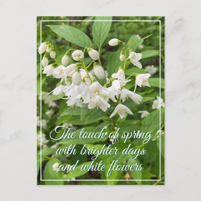 Floral spring holiday  postcard (Front)
