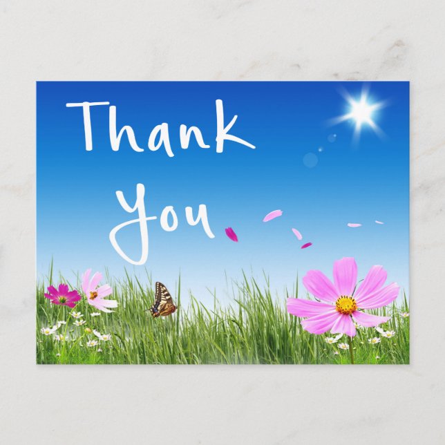 Floral Thank You Daisy Butterfly Wildflowers Postcard (Front)