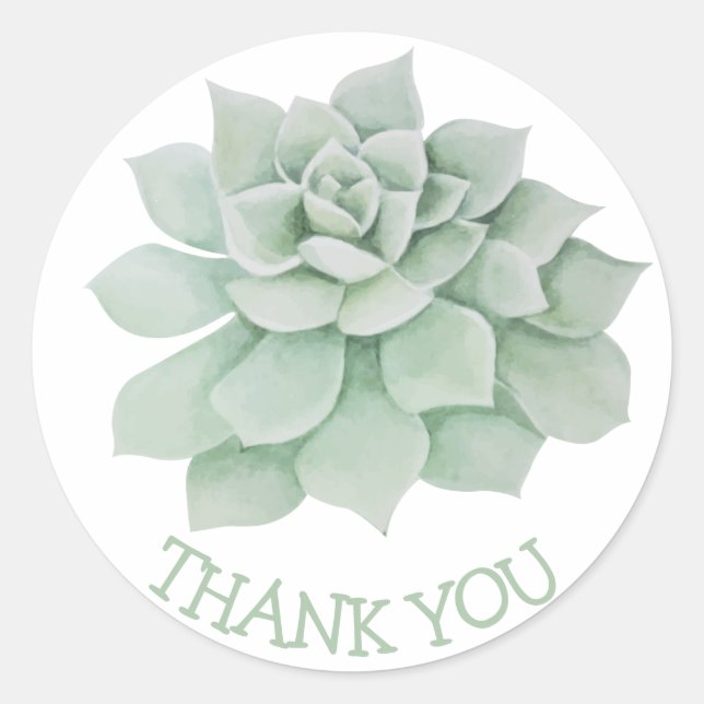 Floral Thank You Green Succulent Cactus Classic Round Sticker (Front)