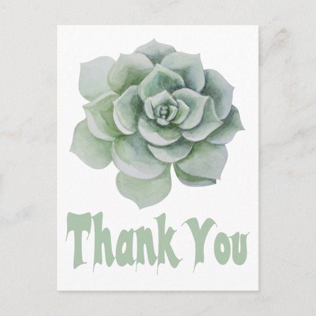 Floral Thank You Mint Green Succulent Cactus Postcard (Front)