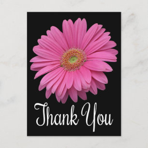 Floral Thank You Pink Gerbera Daisy Flower Black Postcard
