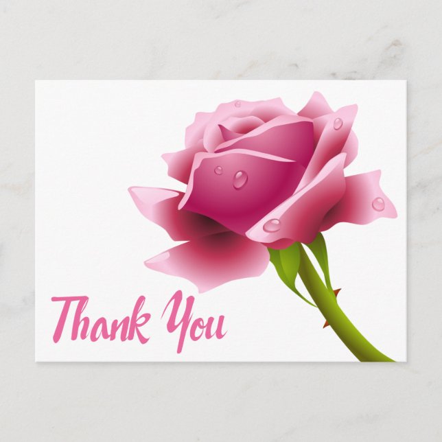 Floral Thank You Pink Rose Flower Postcard (Front)