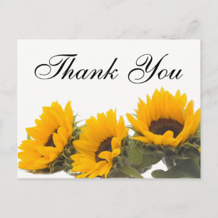 Floral Thank You Sunflower Yellow Green Flowers Postcard