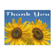 Floral Thank You Yellow Sunflower & Blue Sky