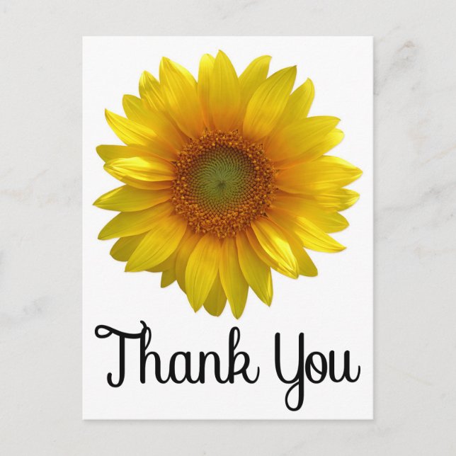 Floral Thank You Yellow Sunflower Flower Postcard (Front)