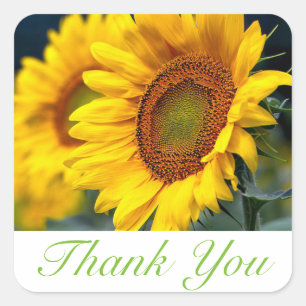 Floral Thank You Yellow Sunflower Flower Square Sticker