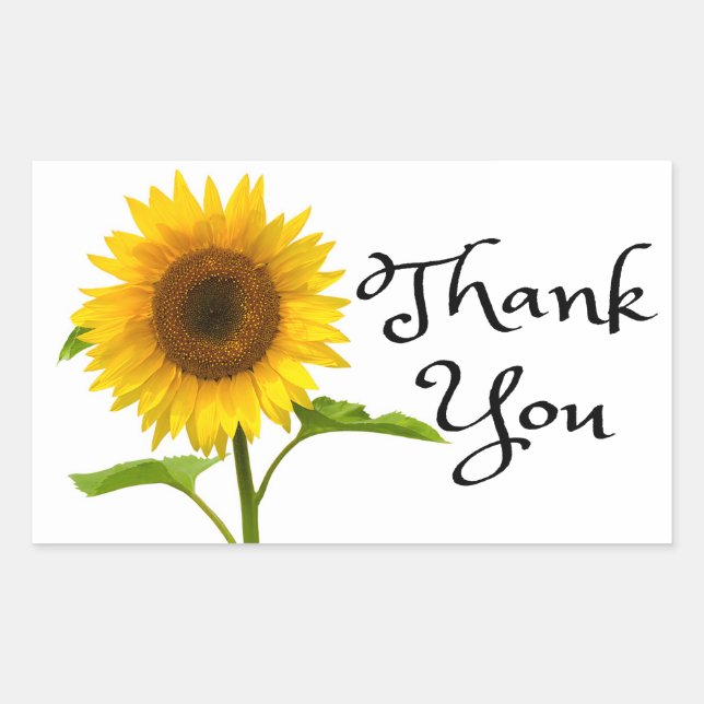 Floral Thank You Yellow Sunflower Flowers Sticker (Front)