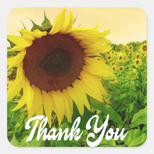Floral Thank You Yellow Sunflower Wedding Party Square Sticker