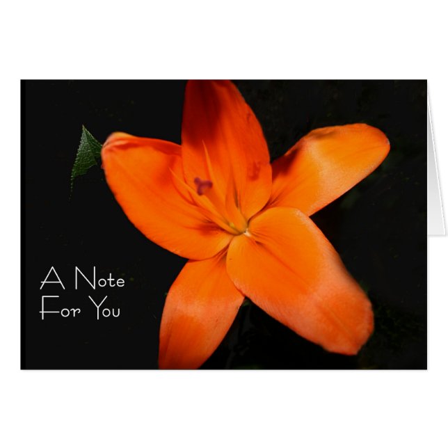 Floral Tiger Lily “A note for you” (Front Horizontal)