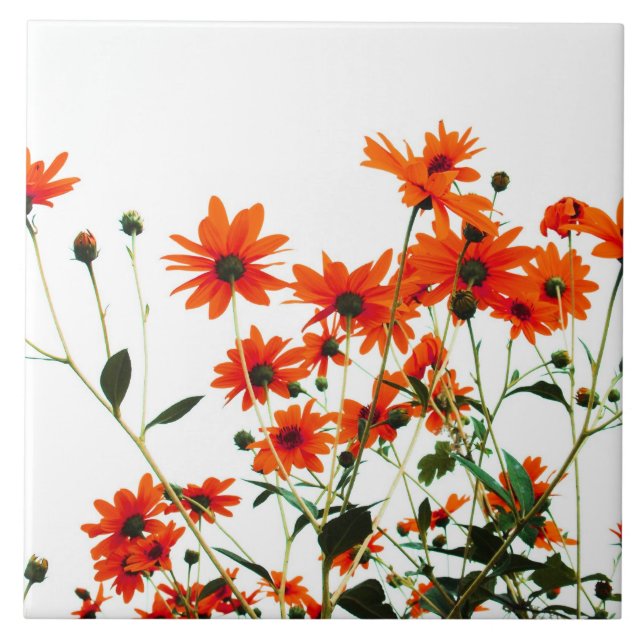 floral tile (Front)