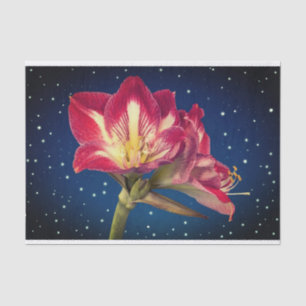 Floral Tissue Paper