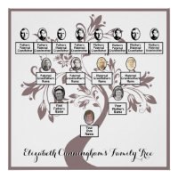 Floral Tree Plum Silhouette Family Tree Photos 