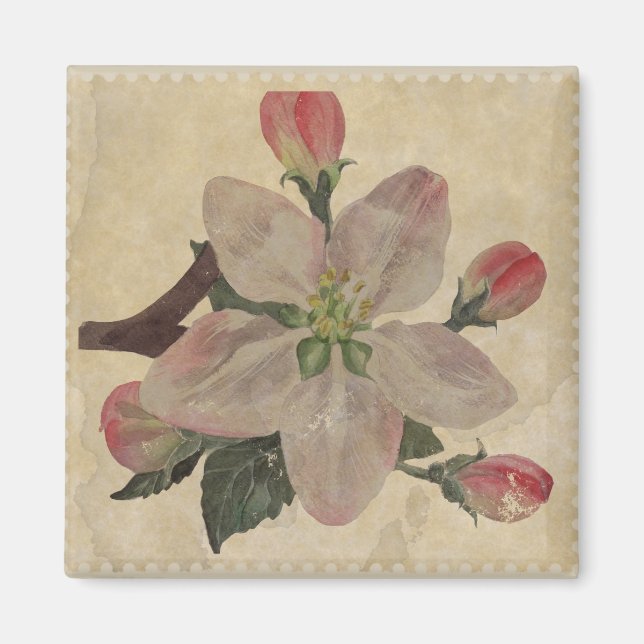 Floral:Vintage Magnet (Front)