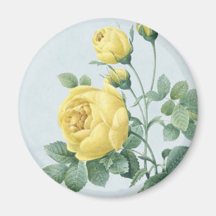 Floral vintage magnet w/ beautiful yellow rose