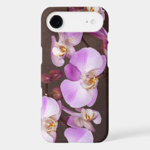 Floral Violet blanc orchidée photo et bourgeons