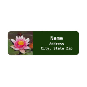 Floral Water Lily Photo Belle Fleur rose