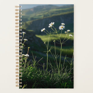 Floral White Daisy Nature Landscape  Planner