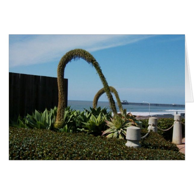 Floral wonders (Front Horizontal)