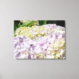 Floral wrapped canvas Floral Hydrangea Flowers